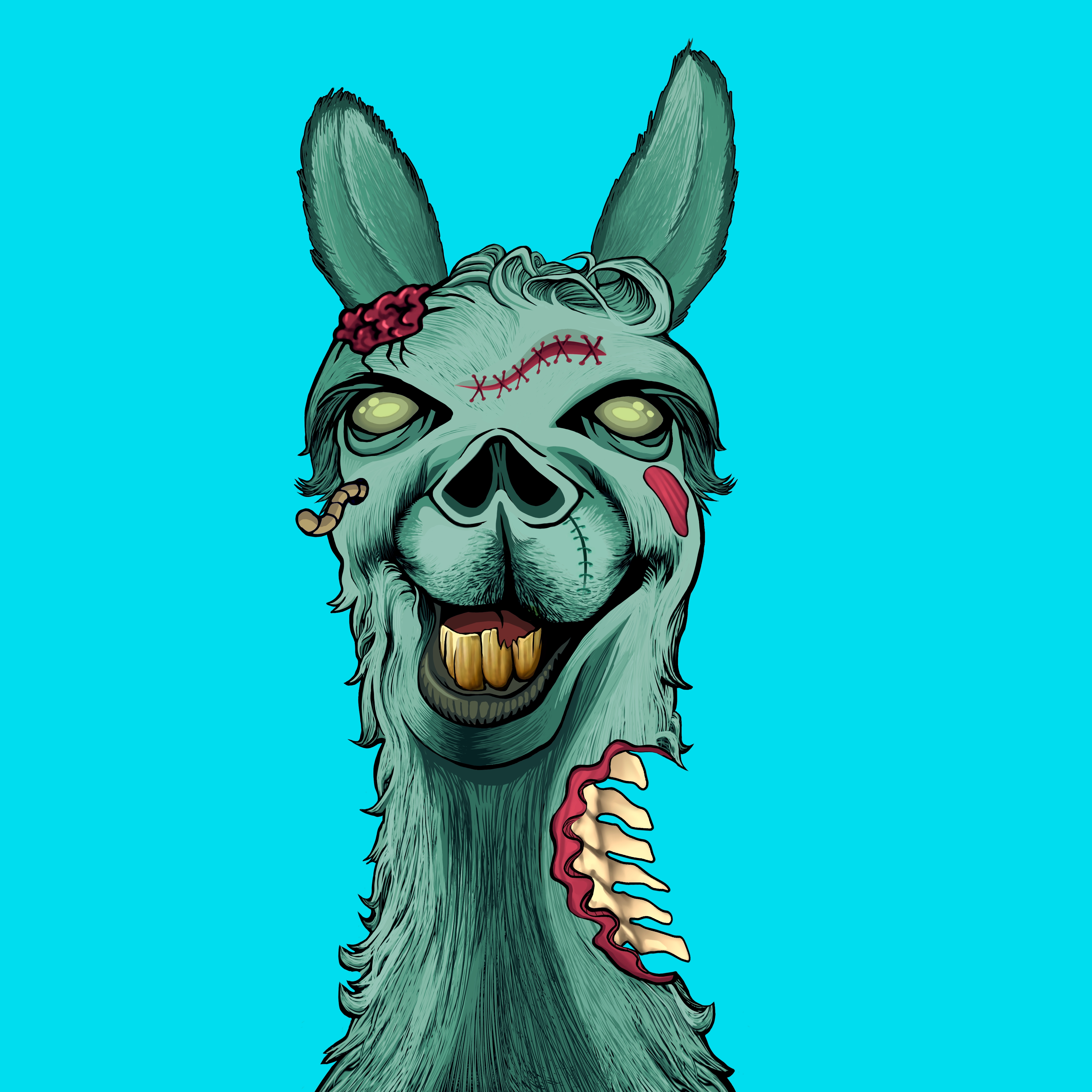 Llama #2917