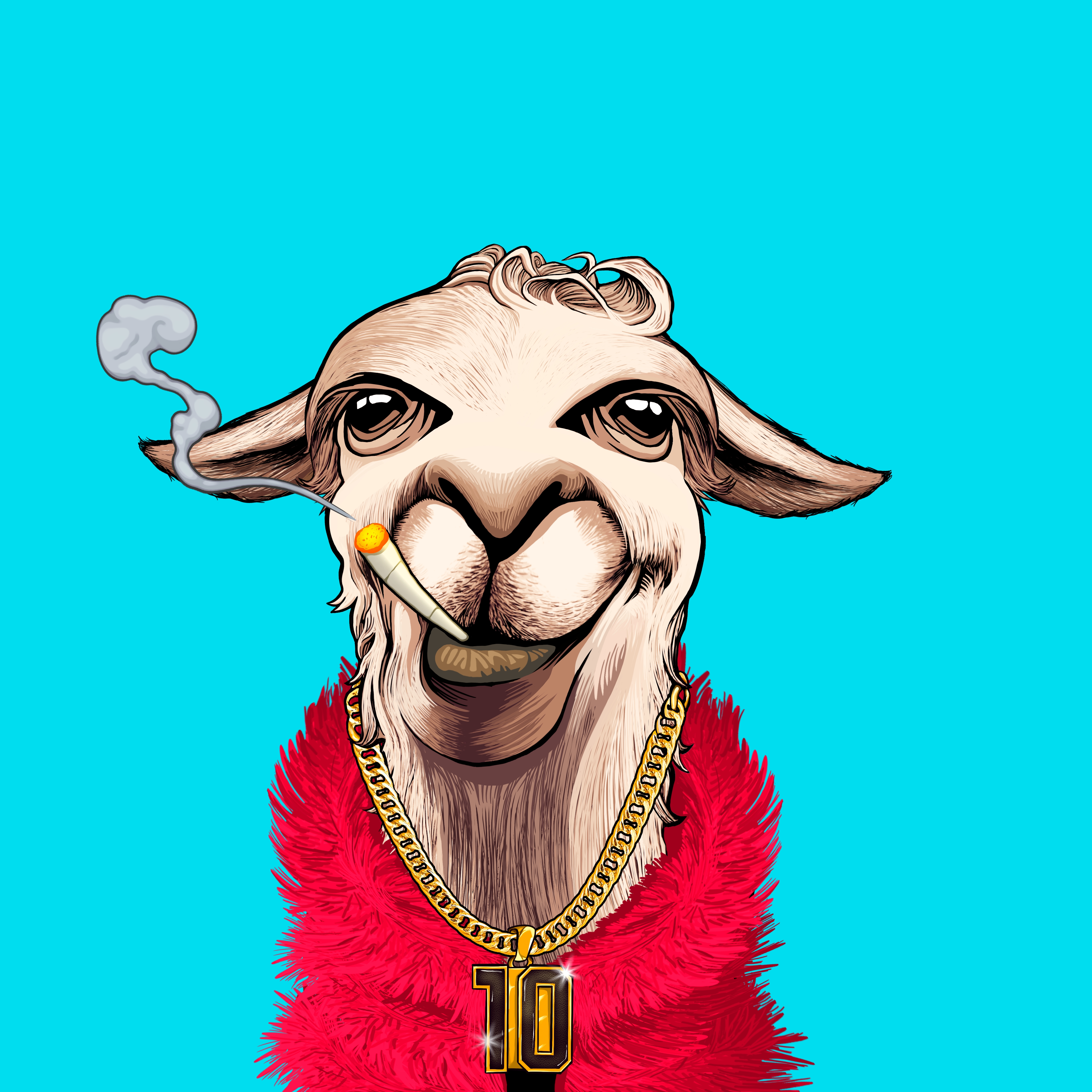 Llama #5090