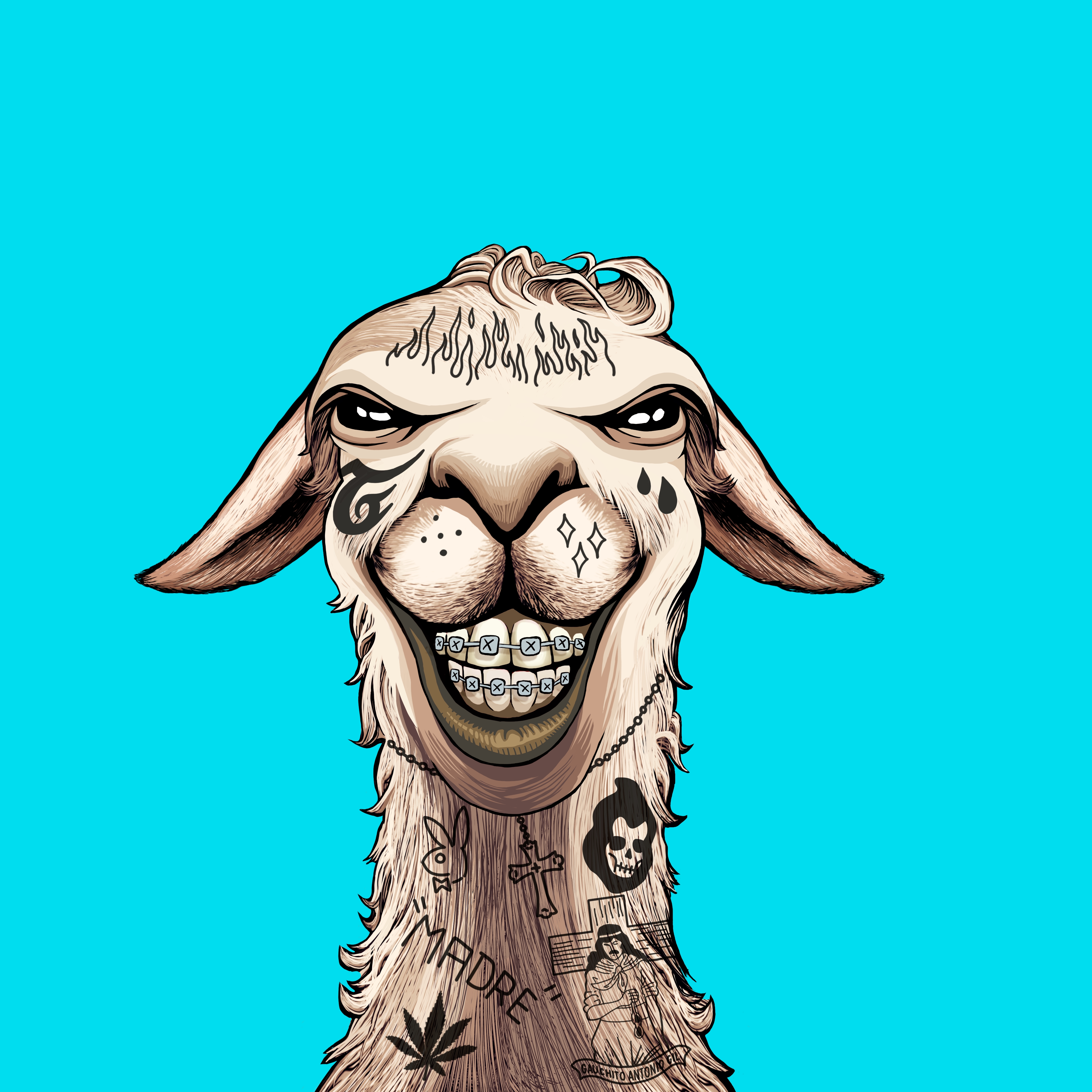 Llama #5255