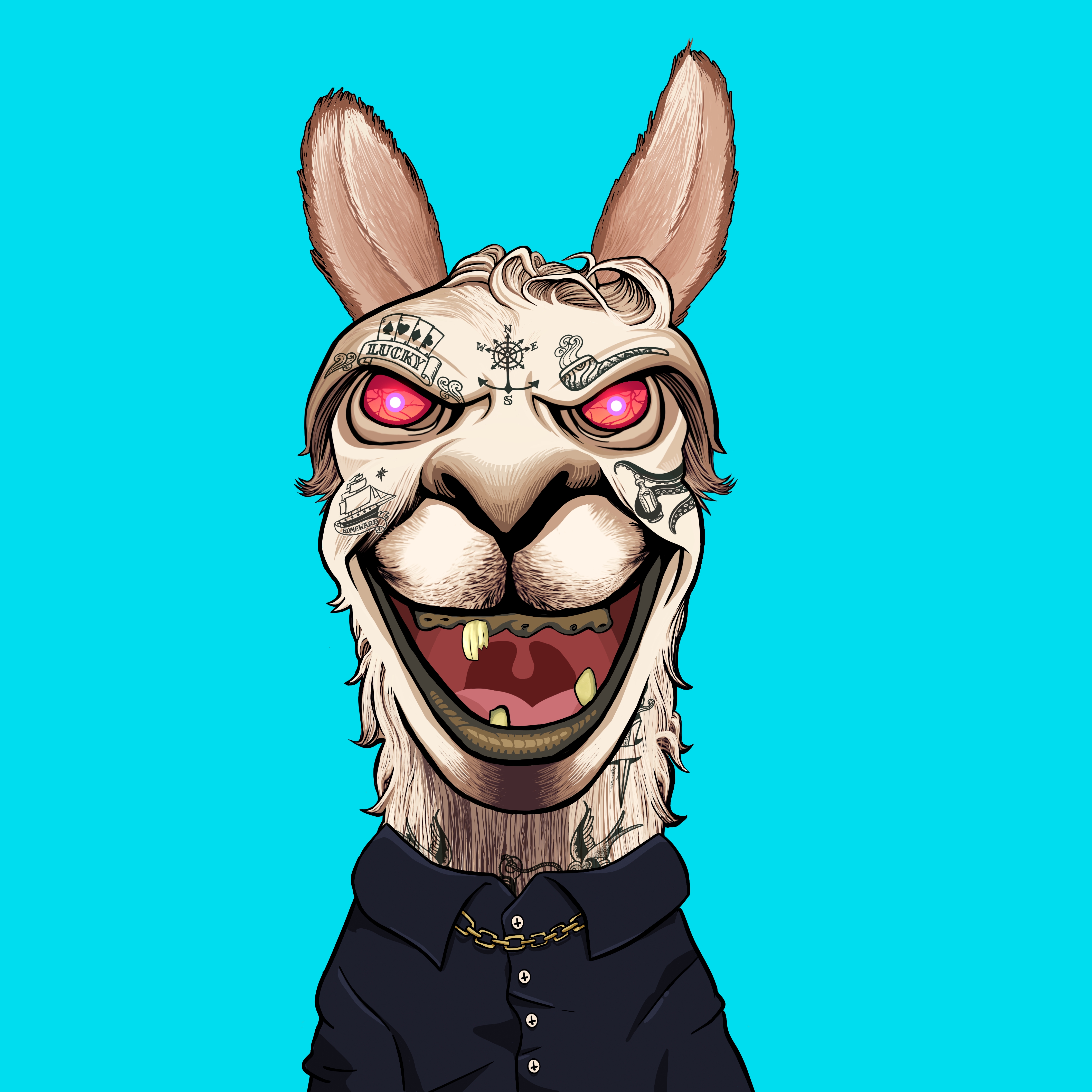 Llama #5621