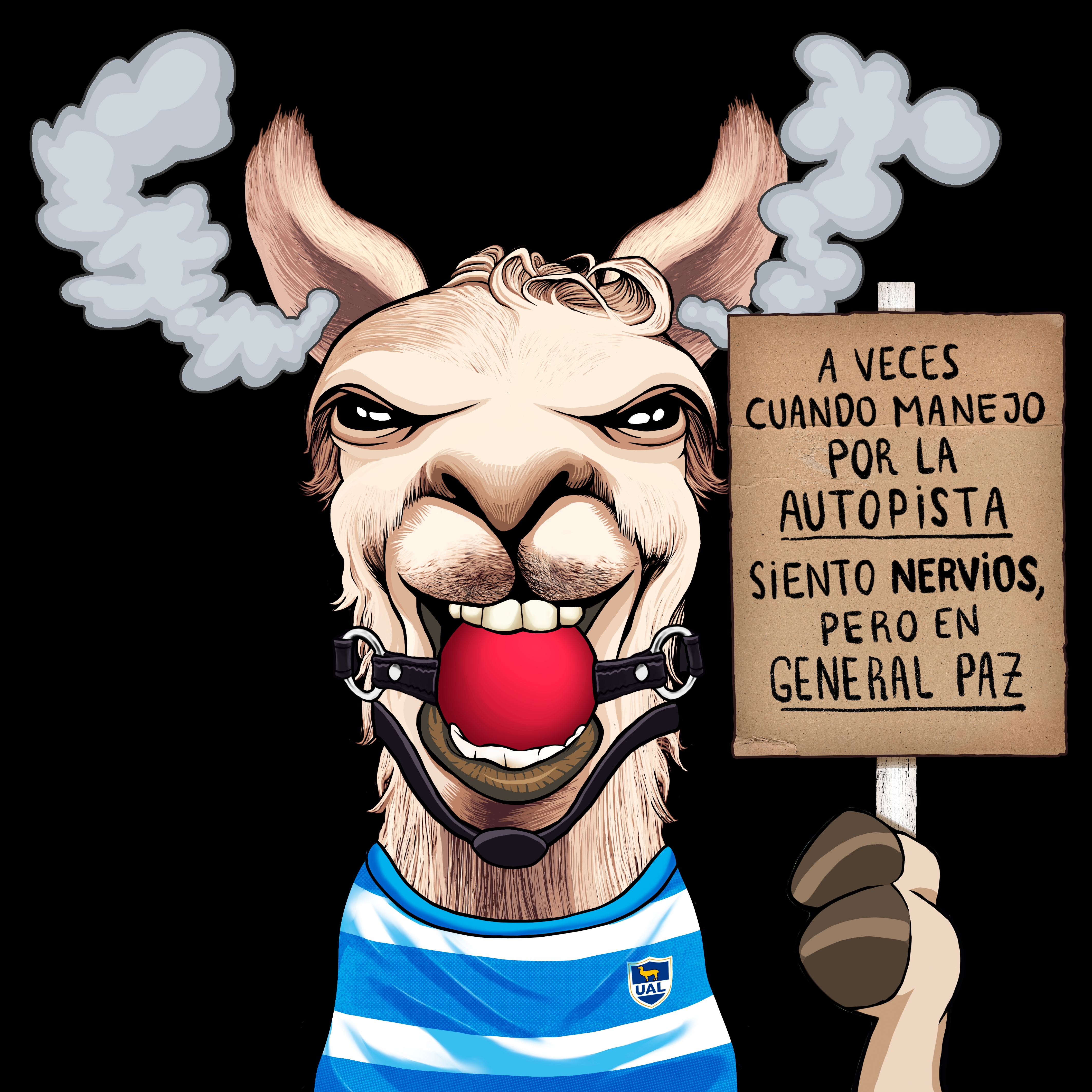 Llama #6296