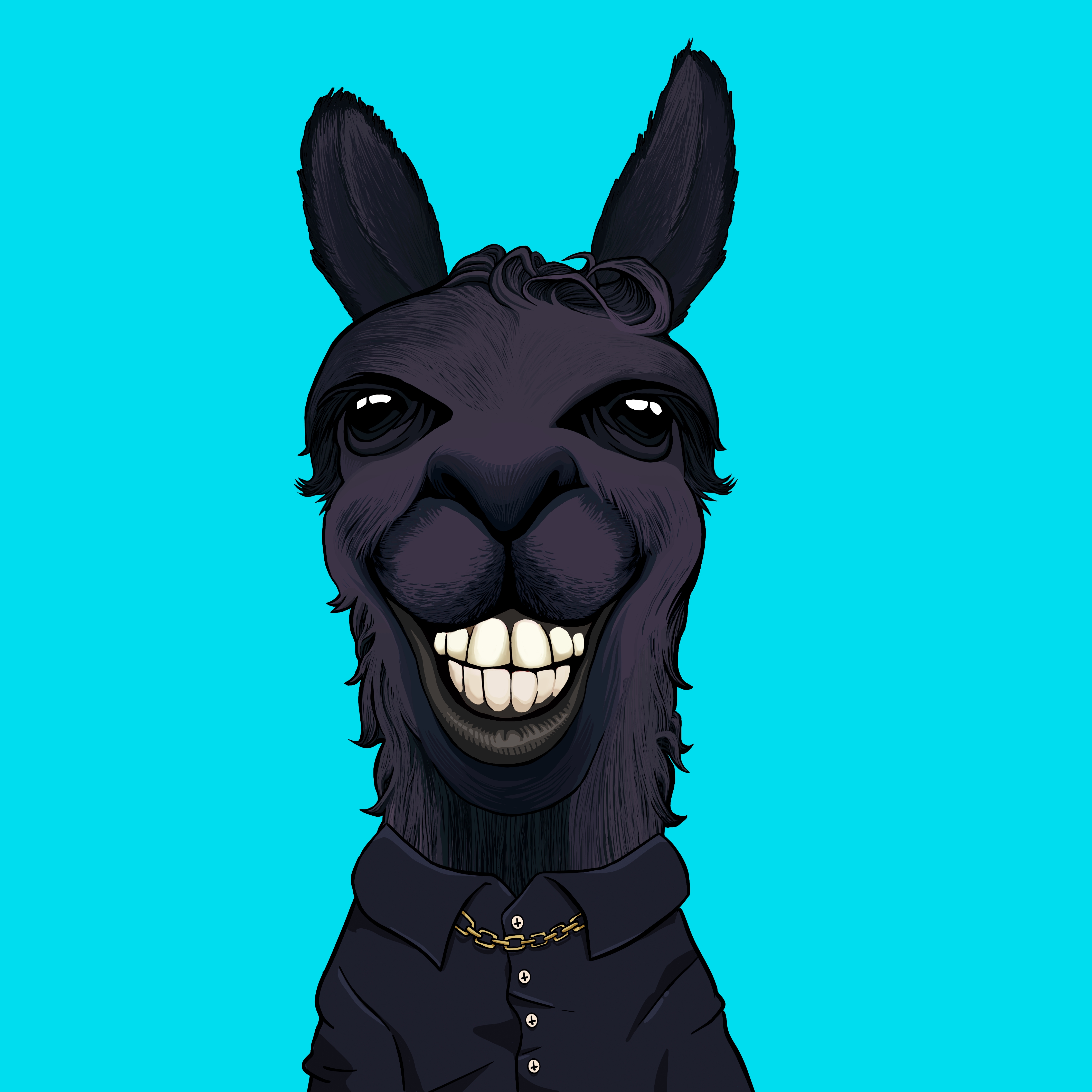 Llama #6417