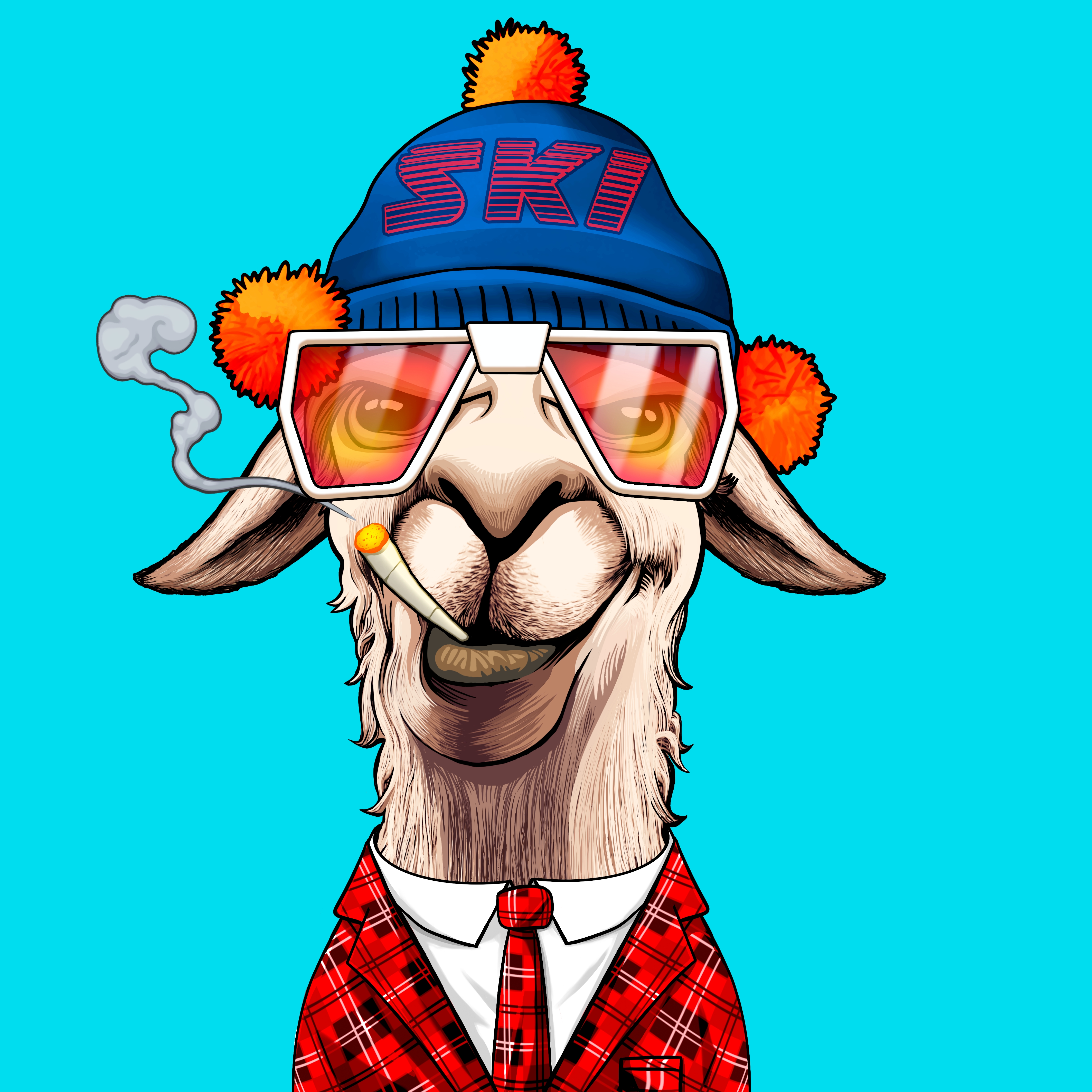 Llama #6498