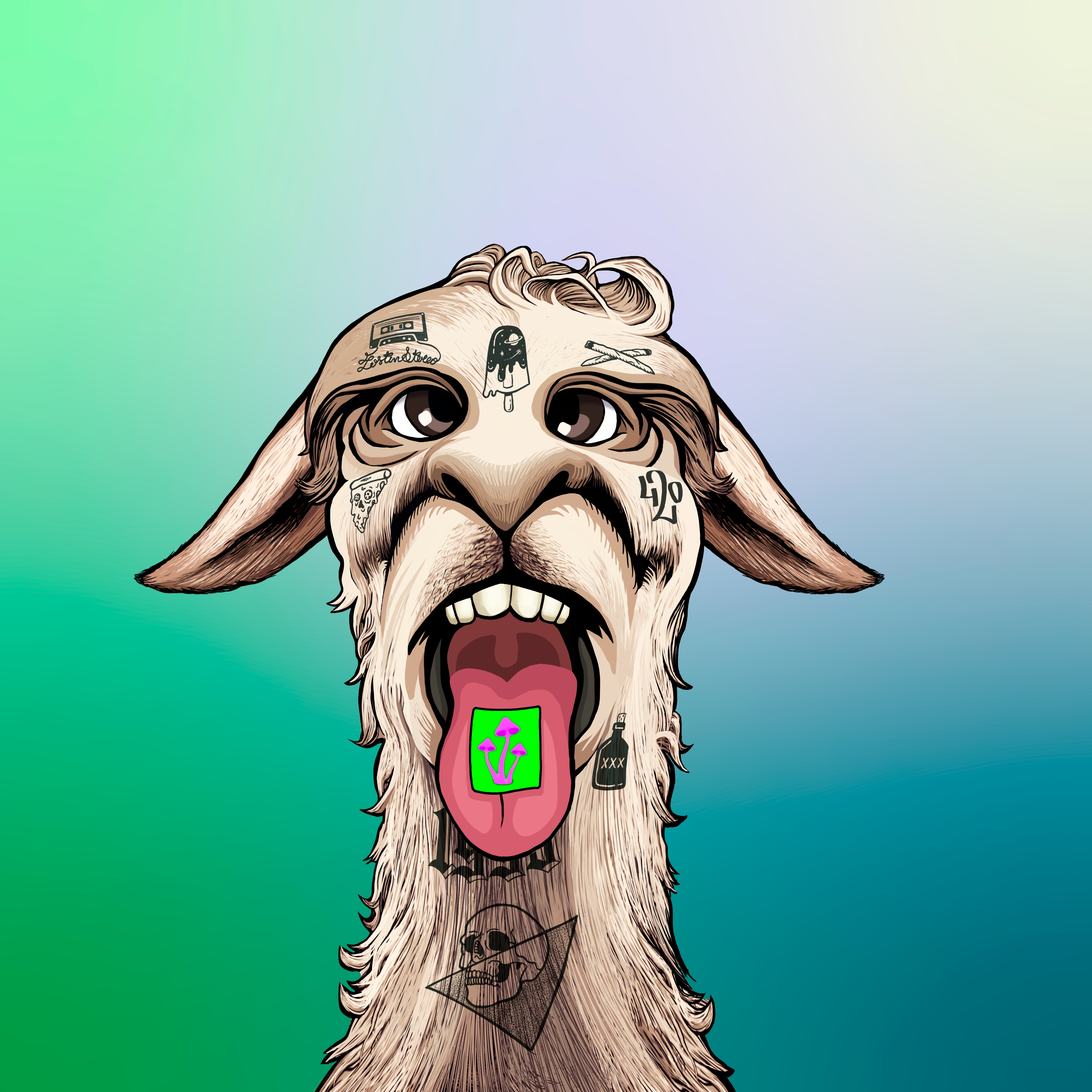 Llama #6762