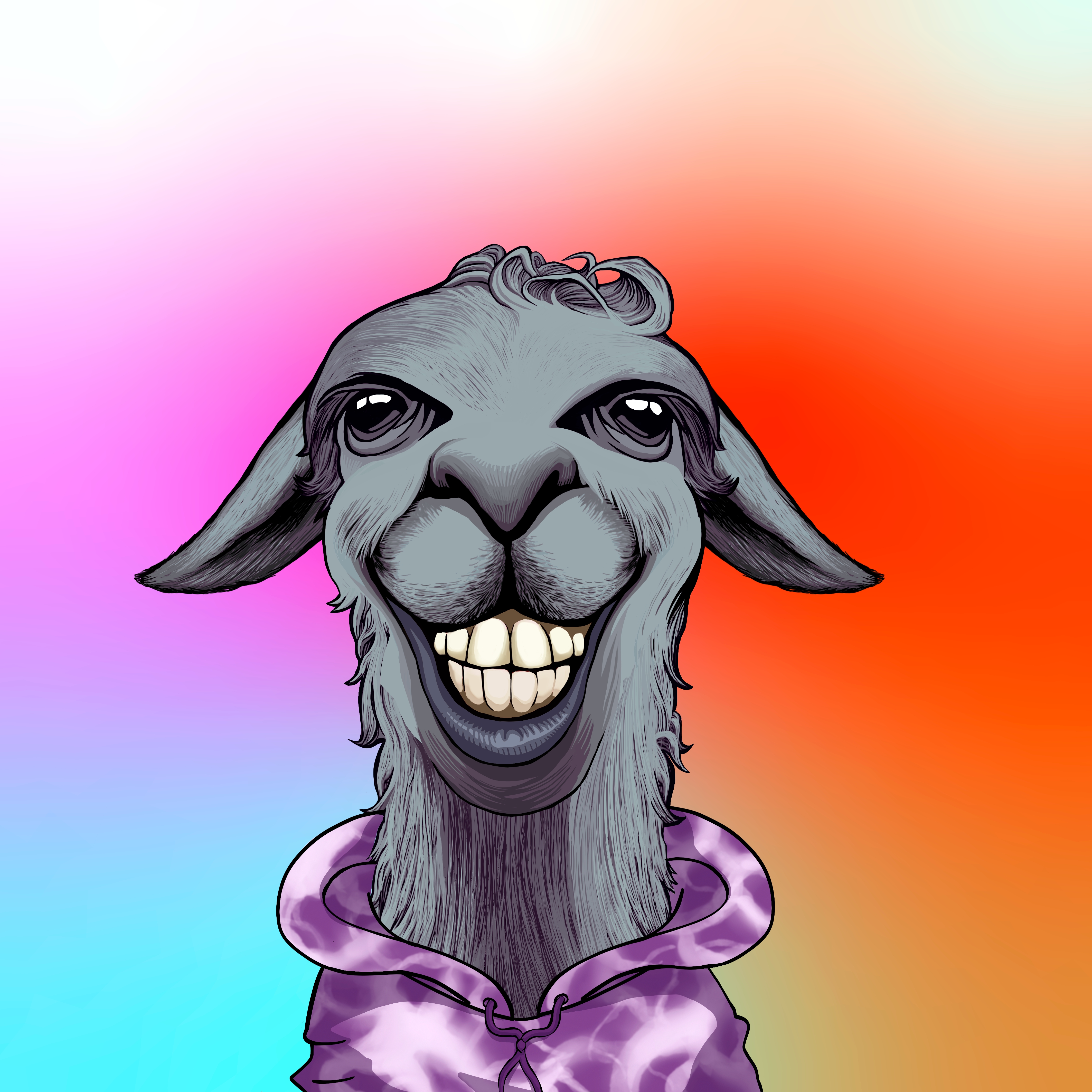 Llama #6893