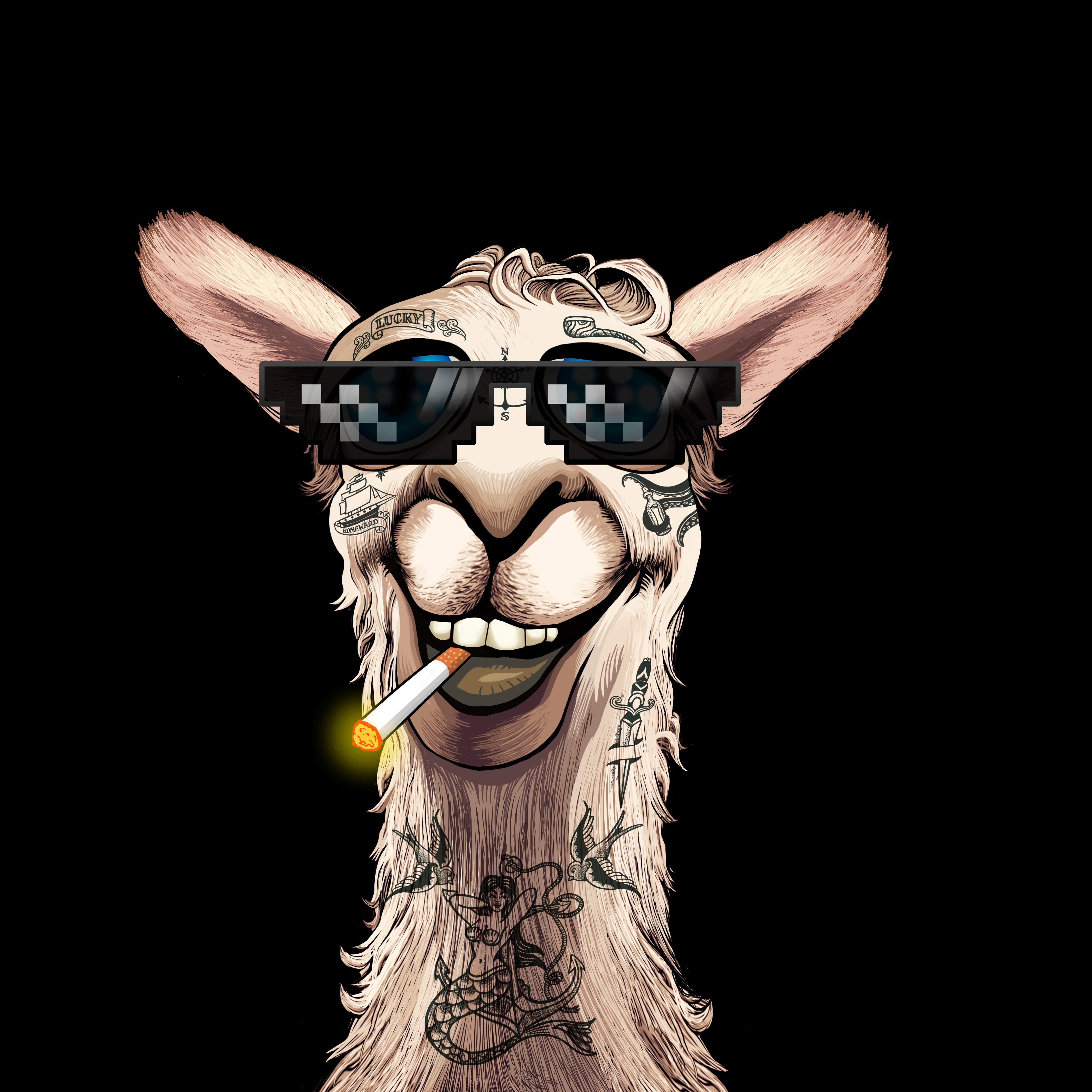 Llama #7760