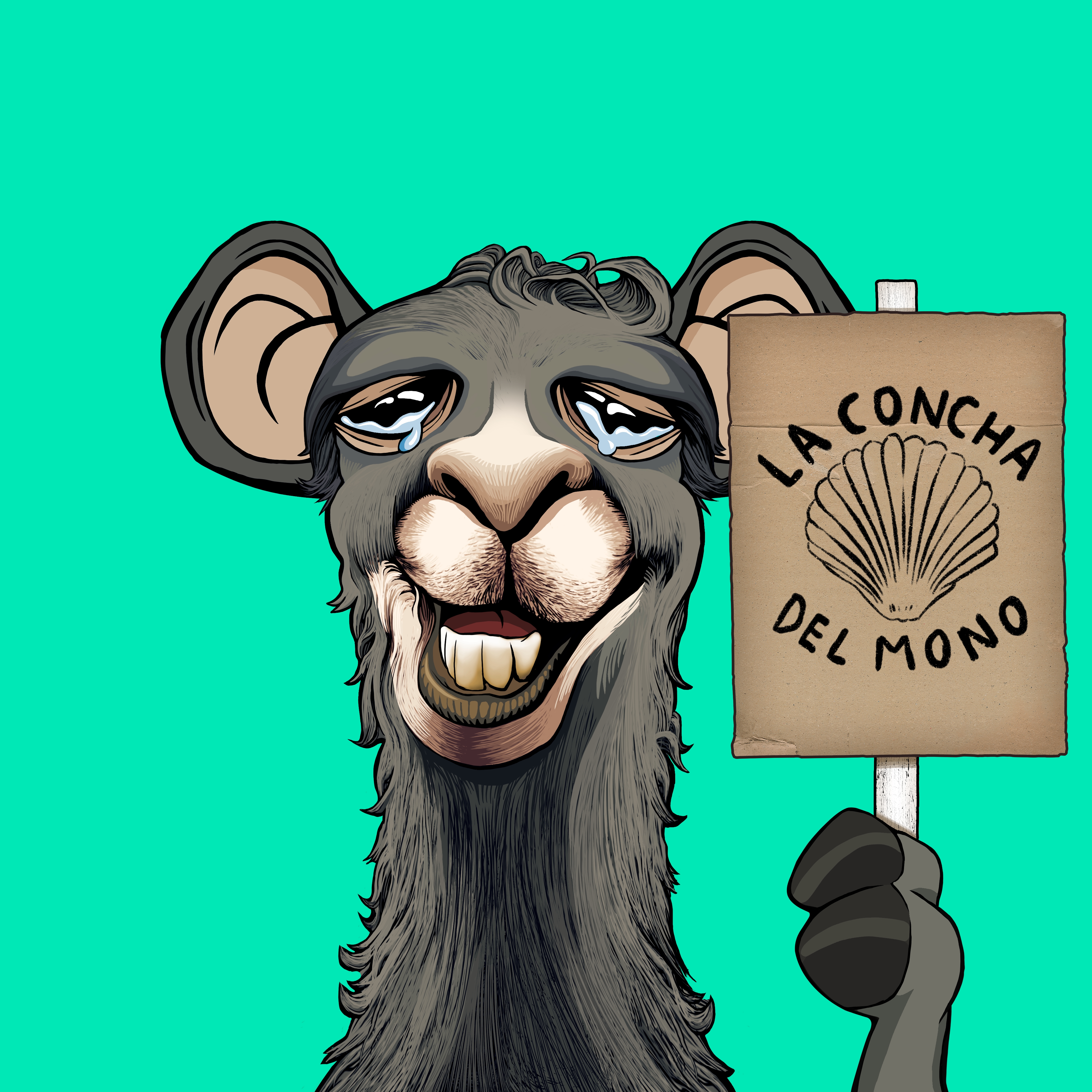 Llama #8016