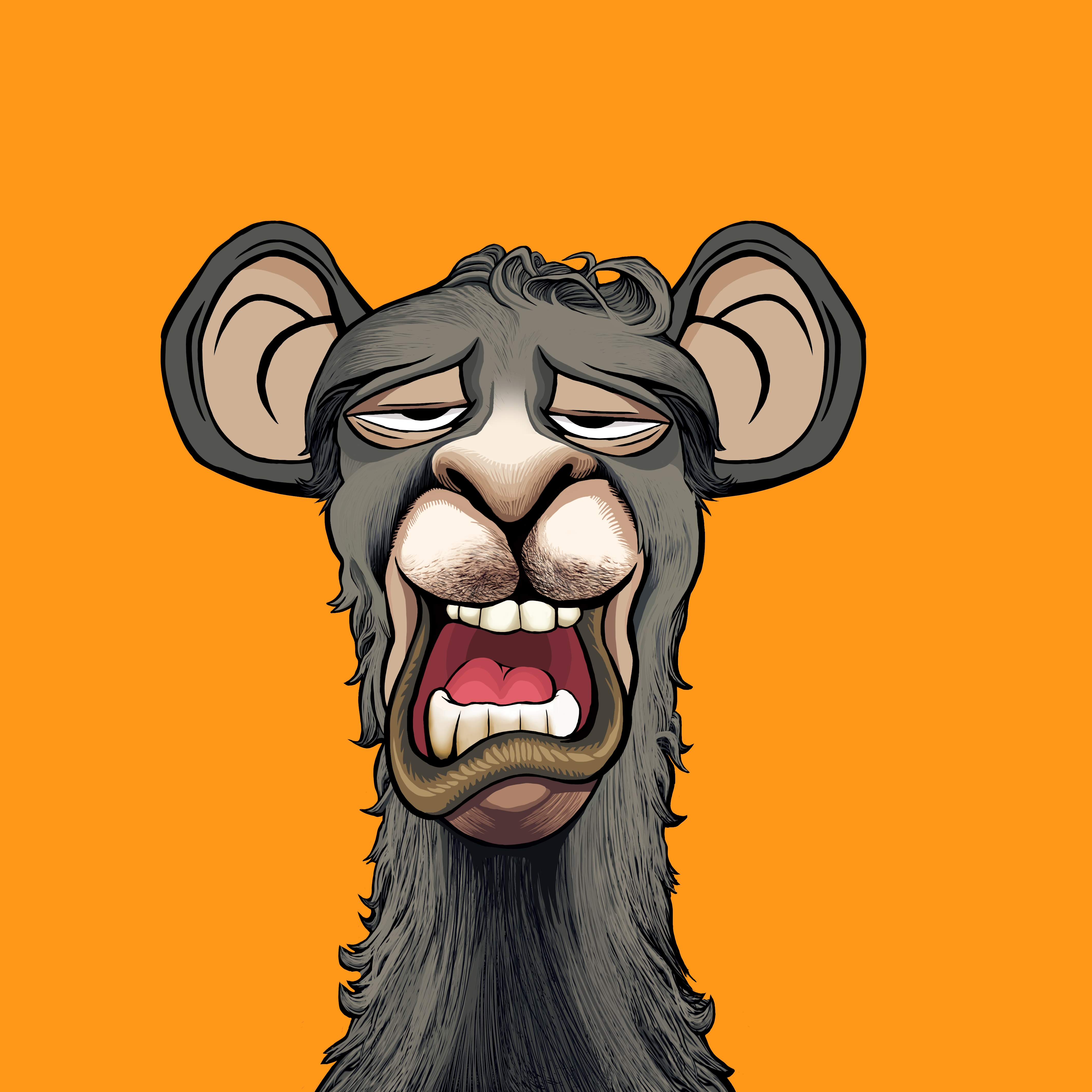 Llama #8417