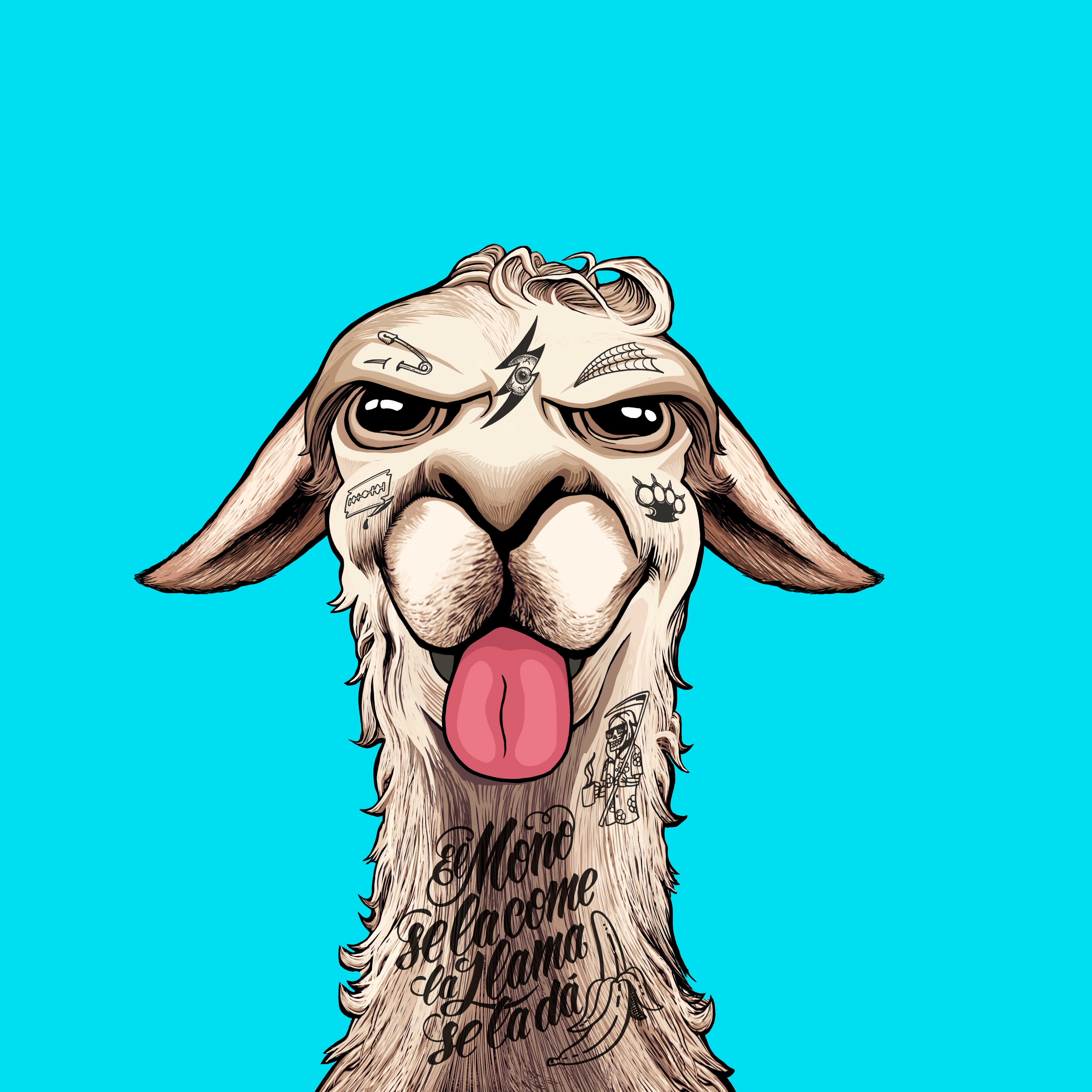 Llama #8514