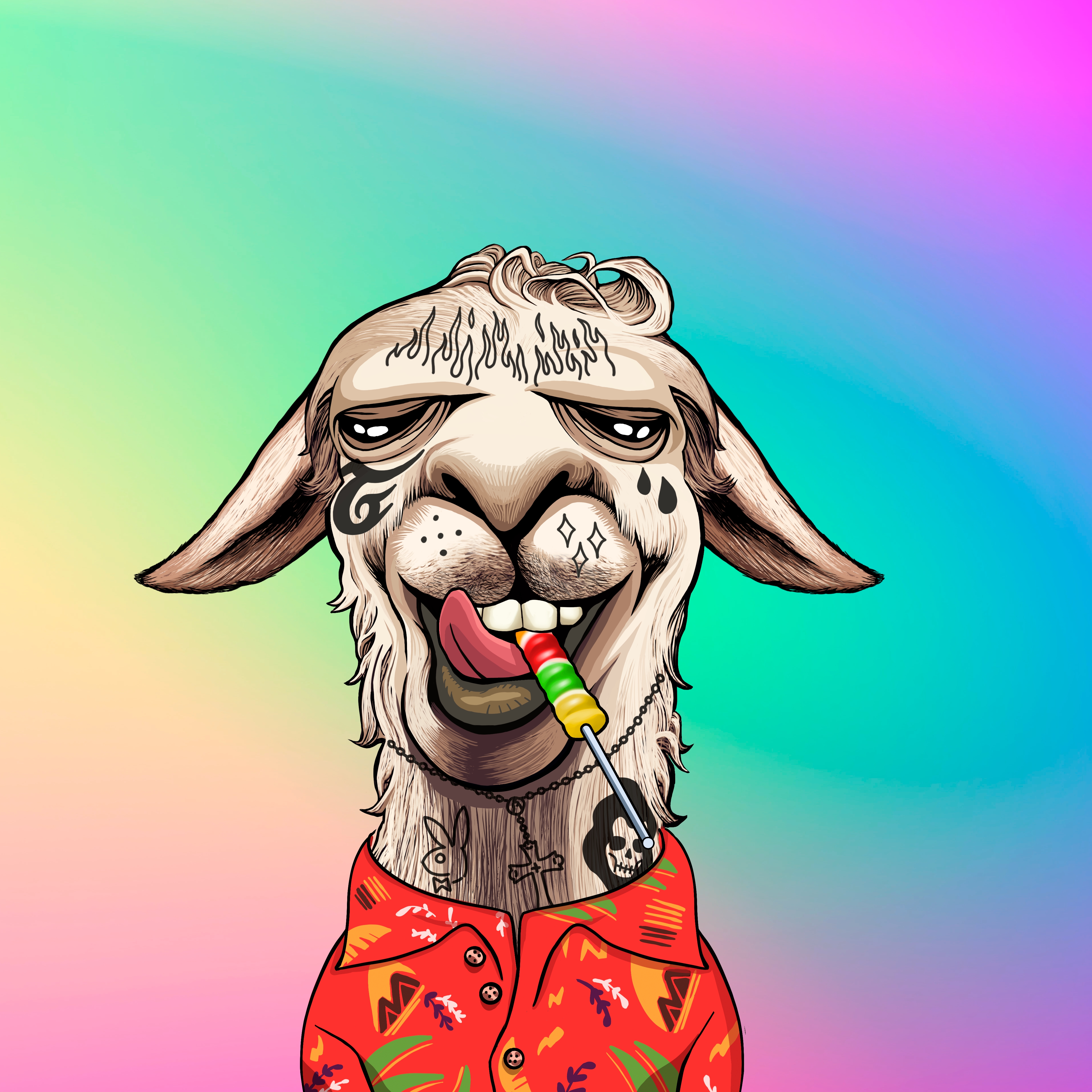 Llama #8519