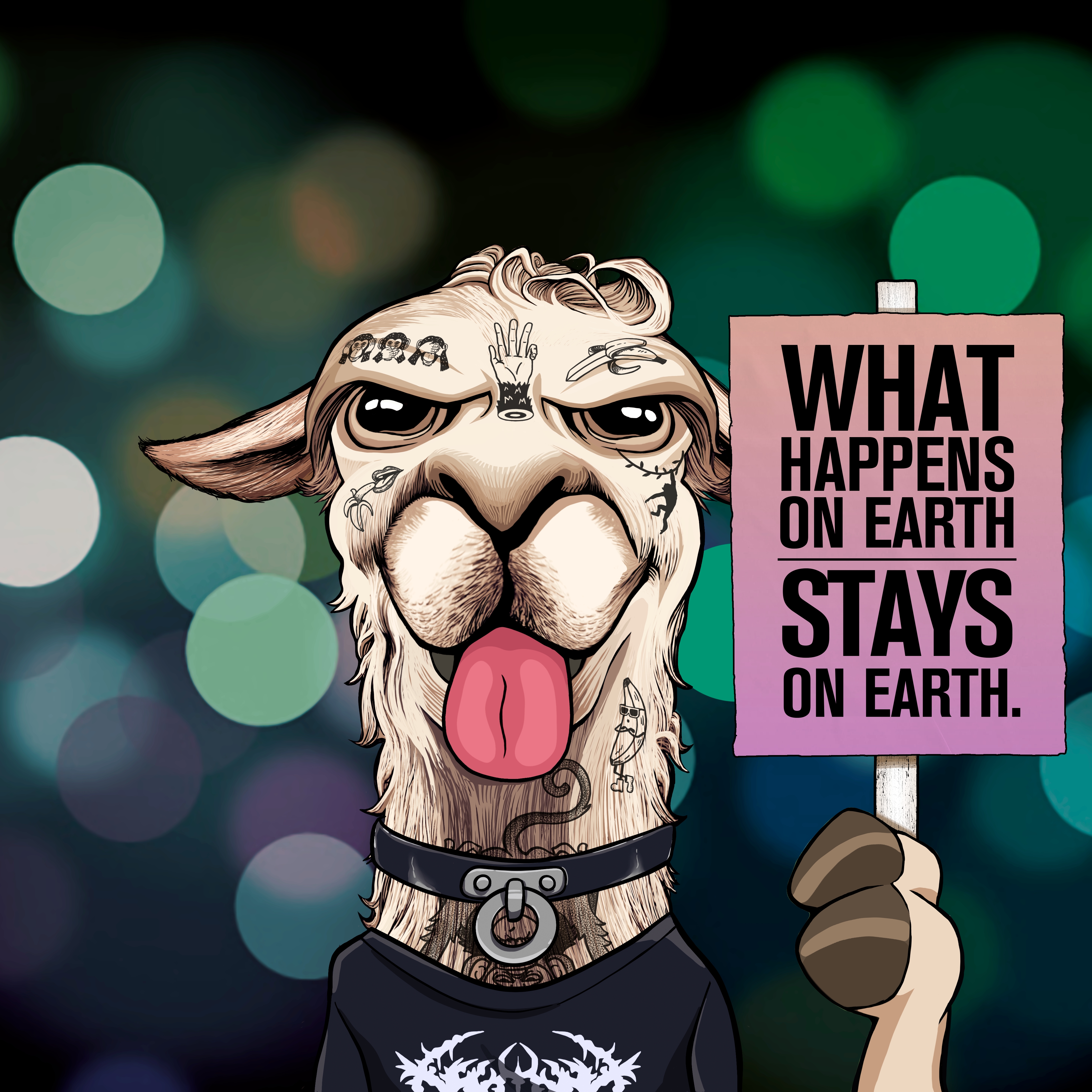 Llama #8656