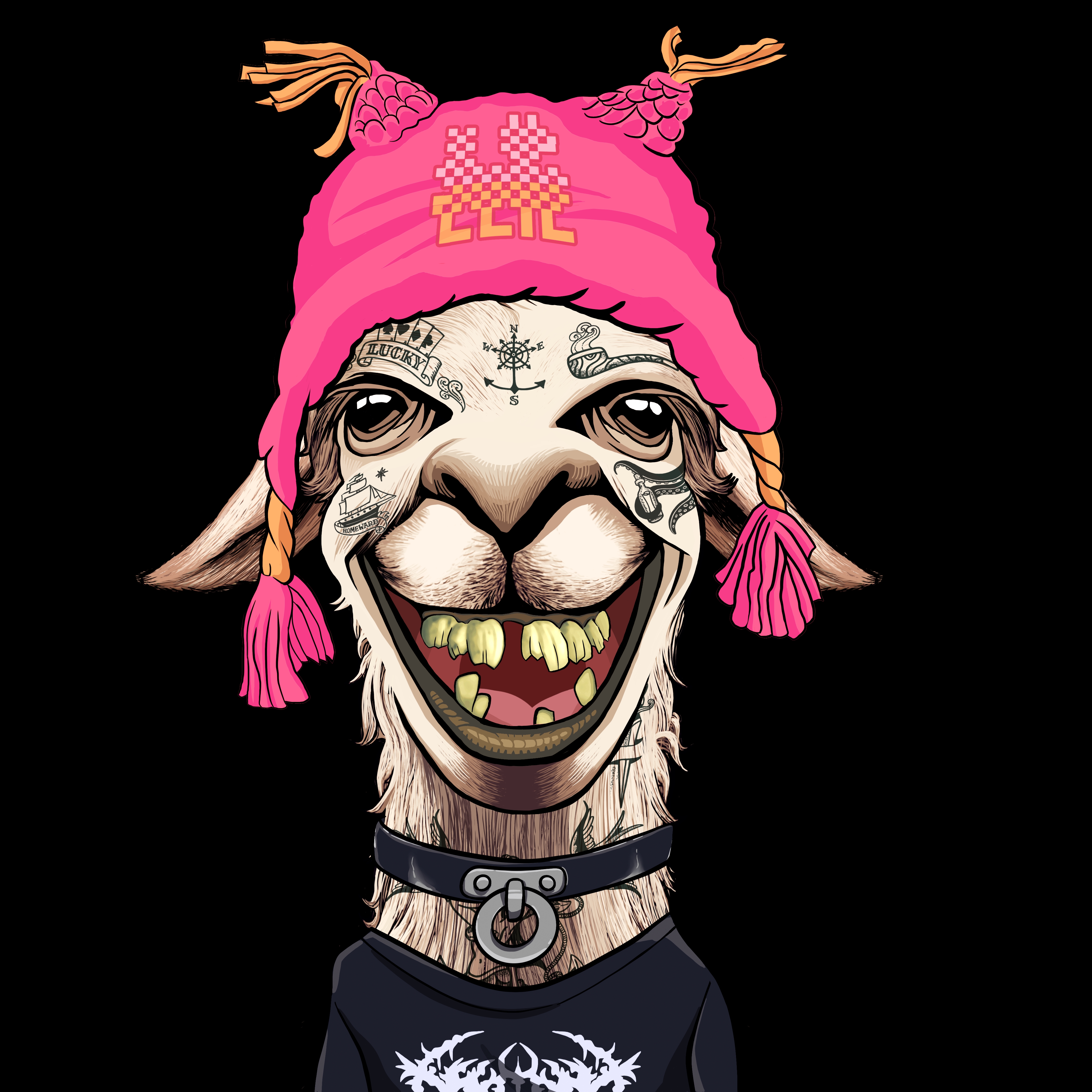 Llama #9119