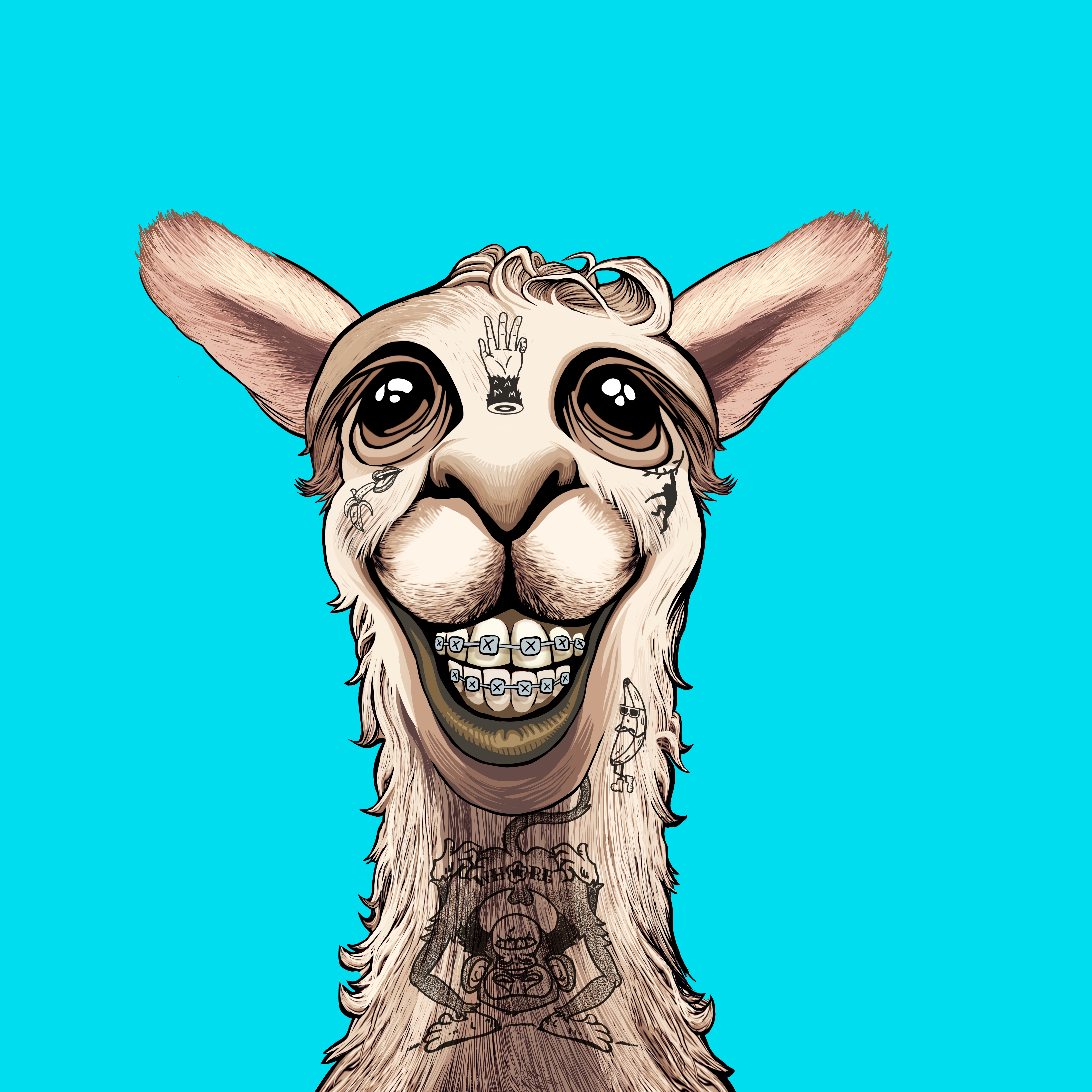 Llama #9278