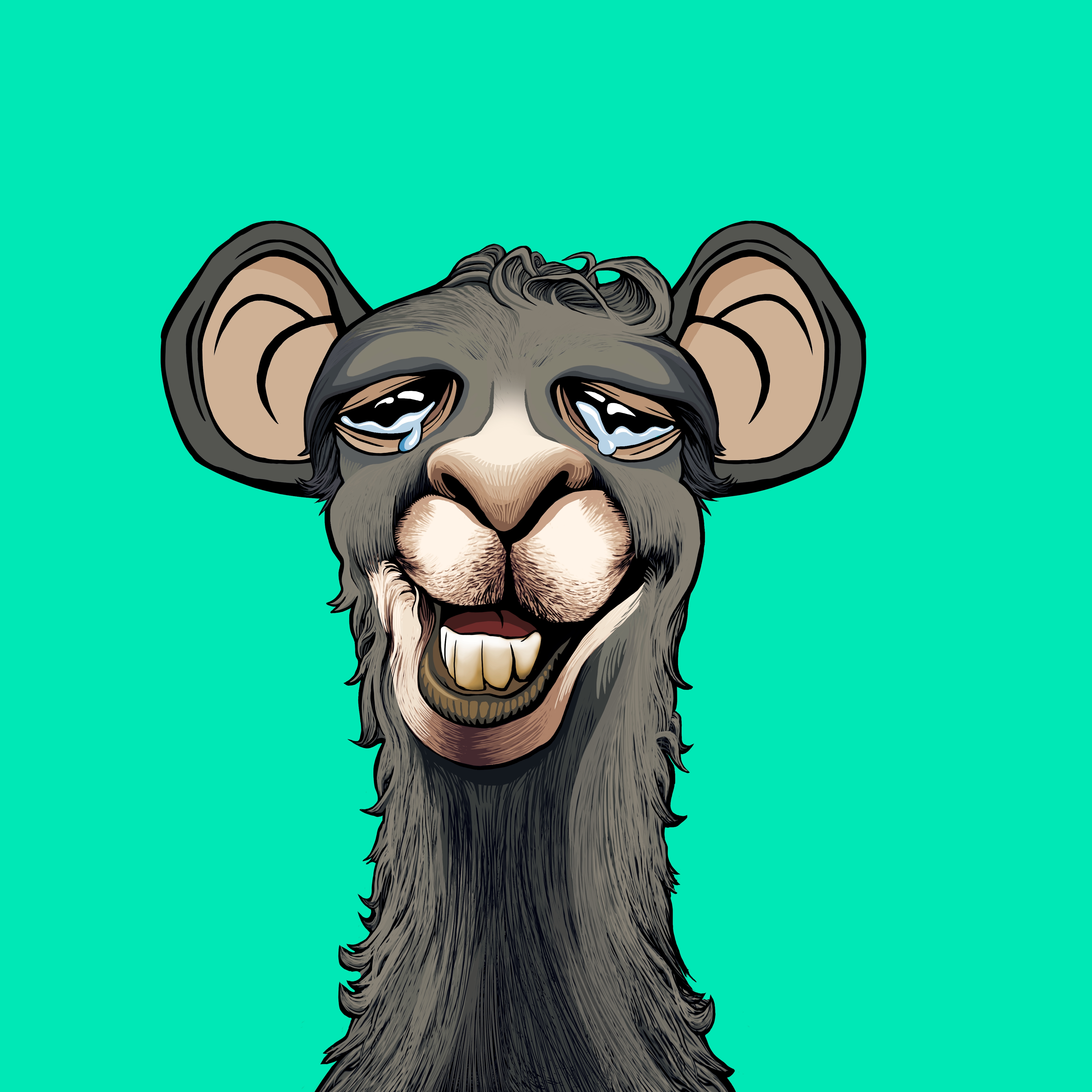 Llama #9355