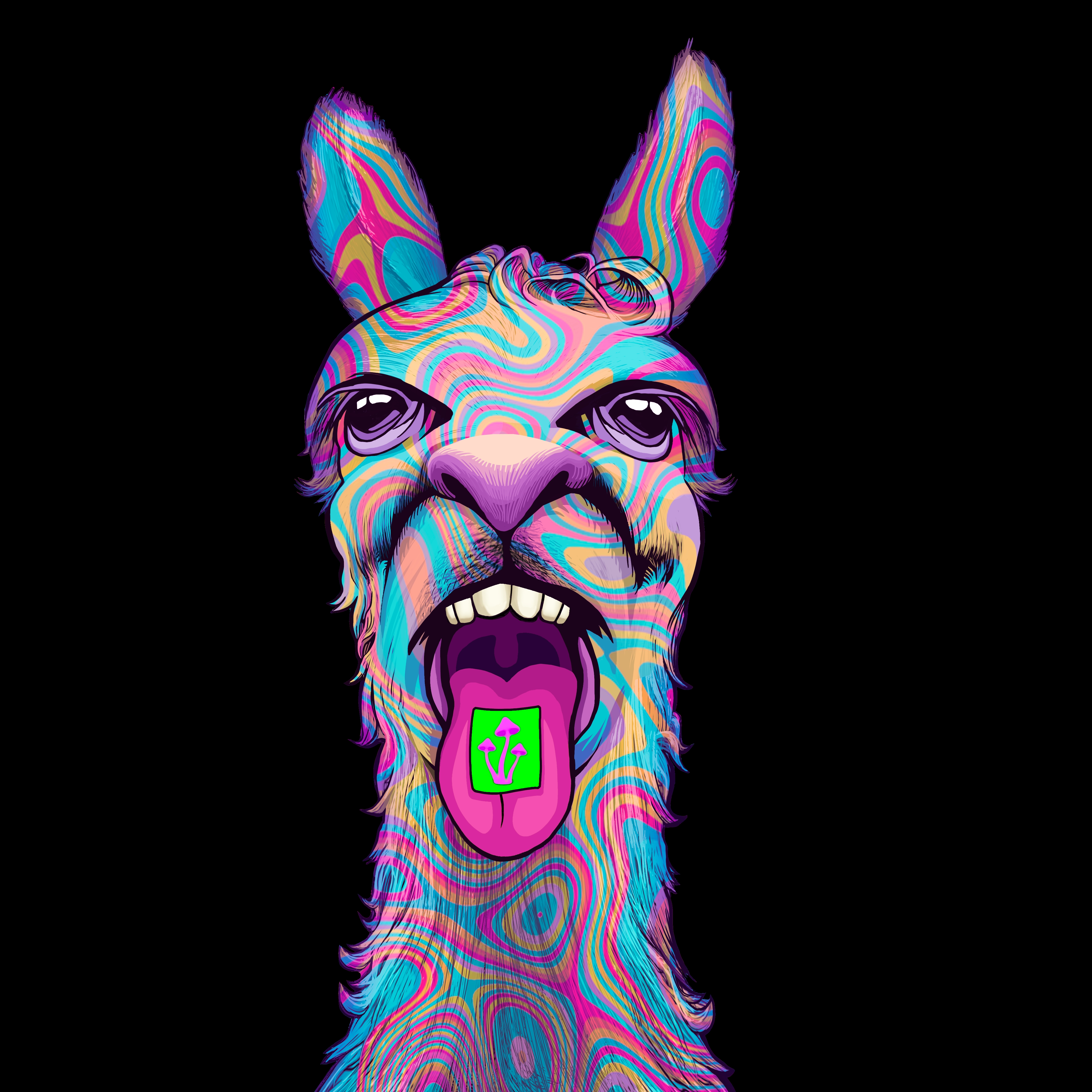 Llama #9413